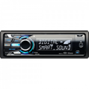 Sony DSX-S100